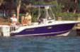 Windlass icon